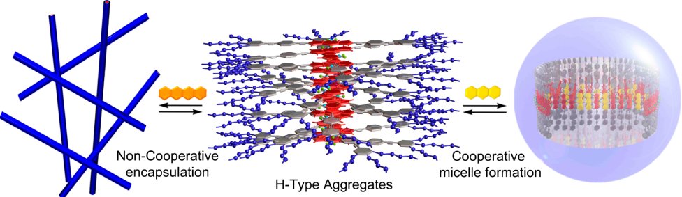 H-Aggregates of Oligophenyleneethynylene (OPE)-BODIPY Systems in Water